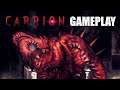 Carrion Gameplay