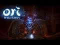 Ori and the Will of the Wisps | Part 31 | Seir