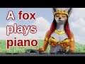 A fox plays Hungarian Dance on the piano like a music video