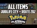 EVERY Item in Jubilife City & Route 202 - Pokémon Platinum