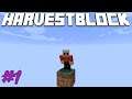 Minecraft HarvestBlock | Minecraft Modded 1.12.2 | I Have A Server #1