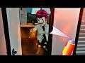 Smiling X Corp #Secretary New Spray Attack - Android/iOS Gameplay HD
