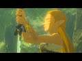 Zelda: BOTW - Sword master