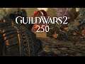 Guild Wars 2 [Let's Play] [Blind] [Deutsch] Part 250 - Die Flut aus Stahl
