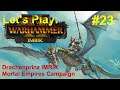 Im Hinterland| #23| Let's Play: Total War: Warhammer 2 Imrik ME