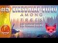 Einschlaf-Video | Among Trees | #5 Der schlaue Fuchs