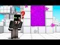 Get to the NETHER with No TEXTURES (Minecraft Challenge)