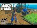 How to Catch a Llama in Raft | Raft Let's | Play Gameplay | E11