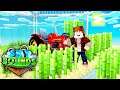 How to FARM! | Minecraft SkyBounds #5 | Bajan Canadian