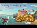 I Got 3 Star rating - Animal Crossing New Horizons - Visitor Boom