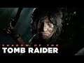 Shadow of the Tomb Raider FX 6300 + Rx 580 8Gb + 16 RAM 1333 (Max \ Min Settings)