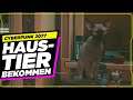 🙀SO BEKOMMST DU EINE KATZE IM APARTMENT🙀 Cyberpunk 2077 Katzen Guide Deutsch
