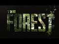 Time To Camp In The Forest And Survive This New World!!!!