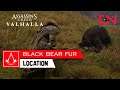 AC Valhalla Black Bear Fur Location Hunter Deliveries