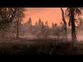 SkyrimSE: The Alchemist; #14 The Swamps