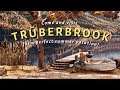 Trüberbrook - En Un Seul Mot - Magnifique!