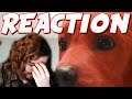 DazzReviews Reacts To Clifford's TERRIBLE Trailer...
