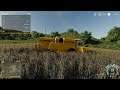 Farming Simulator 19 on PS5 - Going through all visual modes [4K Processing]