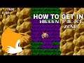 How to get in Hidden Palace Zone on Sonic 2 BONUS!