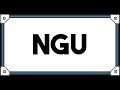 It's that time again - NGU IDLE