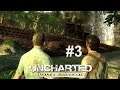 Let's Play Uncharted Drakes Schicksal Gameplay German #3:Ärger im Dschungle!!!
