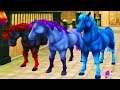 Color Changing Magic Horses ! Buying Jorvik Wild Horse Star Stable Online Video