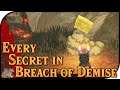 EVERY Secret in the Breach of Demise   Hyrule Warriors Age of Calamity GUIDE UPDATED