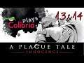 LET'S PLAY A Plague Tale - Chapitre XIII&XIV  [PC/FR]
