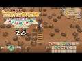 Let's Play Story of Seasons: Friends of Mineral Town 26: The Last Day of Summer