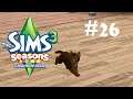 Let's play\ The Sims 3 Времена года#26 Киса