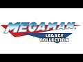 Password (Mega Man 2) (PC Version) - Mega Man Legacy Collection