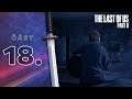 PŘEPADENÍ ZE ZÁLOHY!!! | 18. část | The Last of Us part 2 | CZ Lets Play | PS4 Pro