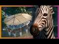 🦁 Savannah Lookout | FINALE | Fixing Goodwin | Planet Zoo Beta