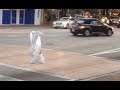 Bag Going For A Walk