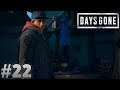 Days Gone Gameplay (PS4 Pro) Part 22 - Skizzo's Grand Plan