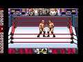 Game Boy Advance - WWF Road to WrestleMania © 2001 THQ - Gameplay