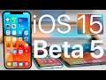 iOS 15 Beta 5 is Out! - What's New?