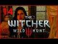 Koke Plays The Breathtaking Witcher 3 - Stream Vod - Episode 14