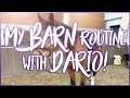 My BARN ROUTINE with Dario! | Star Stable Updates