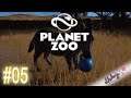 Planet Zoo #005 - Hübsche Schweinchen | Lets Play Planet Zoo