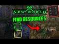 How To Find Resources in New World - New World Gathering Guide
