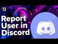 How to Report a User on Discord
