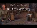 Let's Play ESO - Blackwood [Blind] [Deutsch] Part 46 - Das Traumland