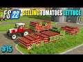 Selling Tomatoes, Lettuce & Strawberries, Harvesting Corn - FS22 Part 15