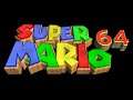 Slider (July 29, 1995 build) - Super Mario 64