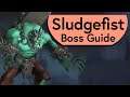 Sludgefist Raid Guide - Normal/Heroic Sludgefist Castle Nathria Boss Guide
