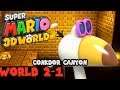 Super Mario 3D World - Conkdor Canyon (World 2-1) | MarioGamers