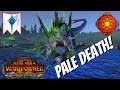 The PALE DEATH Loves The Taste Of Eagle. High Elves Vs Lizardmen. Total War Warhammer 2, Multiplayer