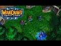 ПРИКЛЮЧЕНИЯ ПАШИ - ПЕРВЫЕ ШАГИ! - ПЕРВЫЙ ДЕНЬ НА СЛУЖБЕ! - Warcraft 3 #3