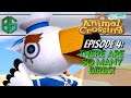 What is "ACE4?" exactly? || Animal Crossing continues to impress || Beard_Grizzly